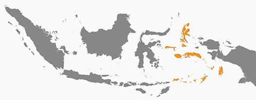 map-indonesia-moluccas