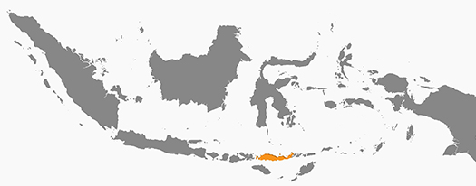map-indonesia-flores